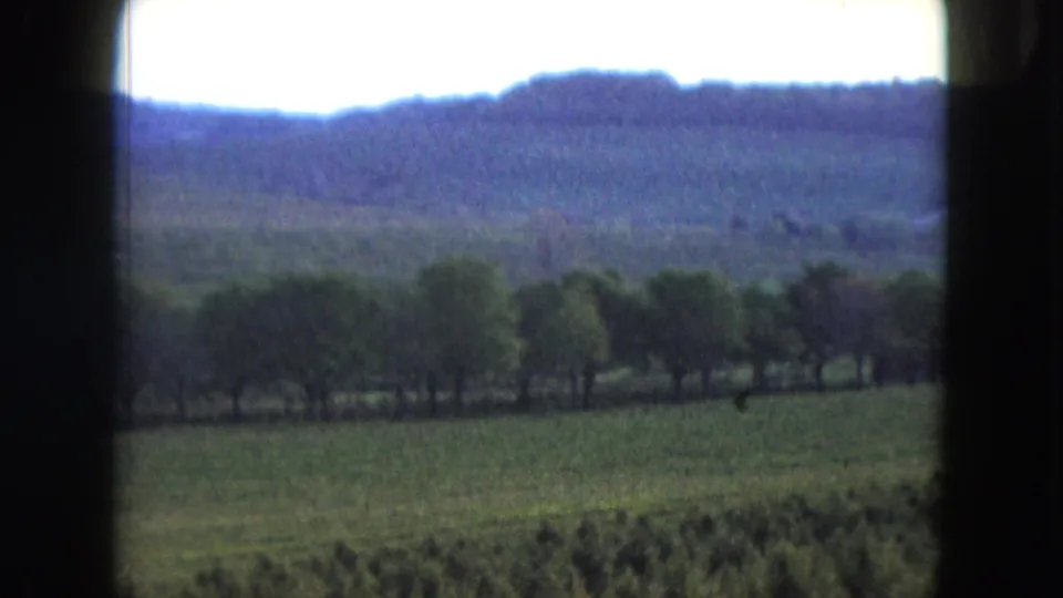 1961 Nevada 8mm view of green fields, trees, and distant wooded hills under a bright sky, seen through dark gate edges.