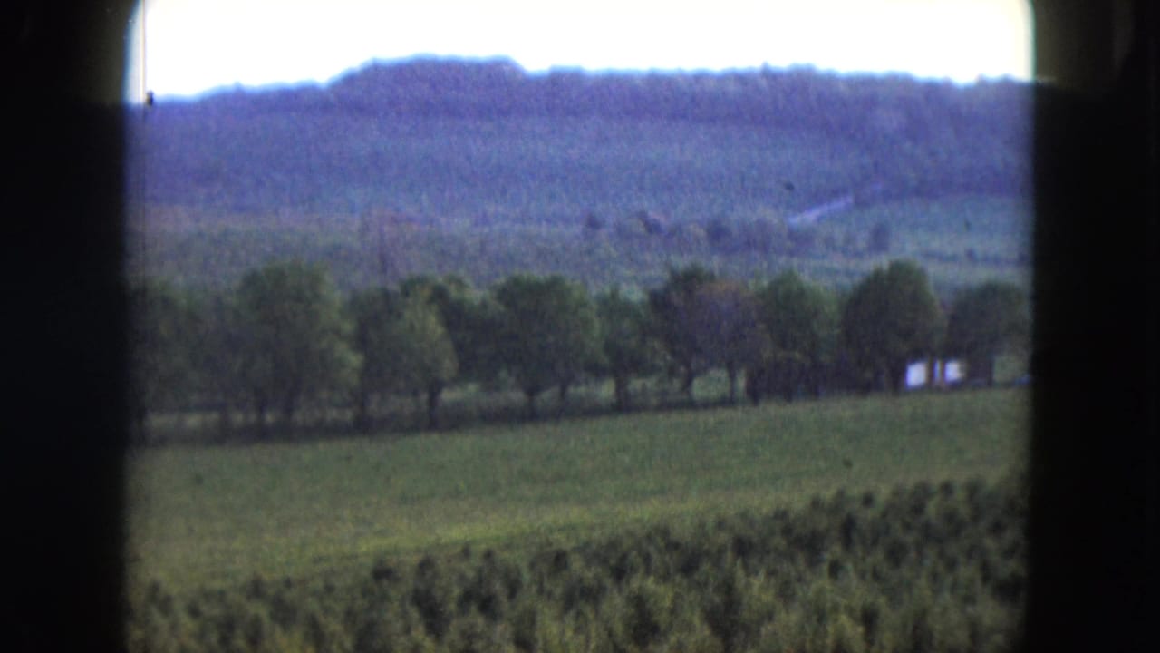 1961 Nevada countryside with a green field, trees, wooded hills, and a small pale structure near the right side of the frame.