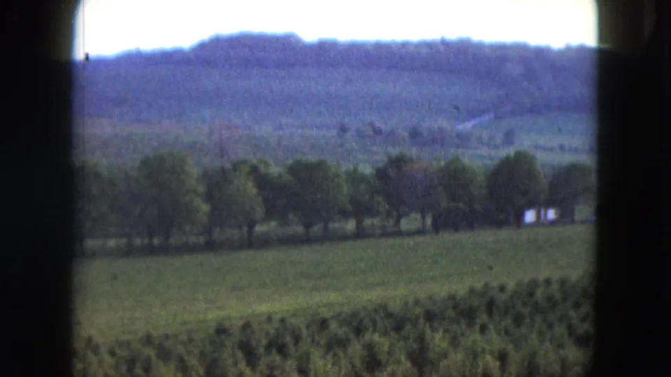 1961 Nevada countryside with a green field, trees, wooded hills, and a small pale structure near the right side of the frame.