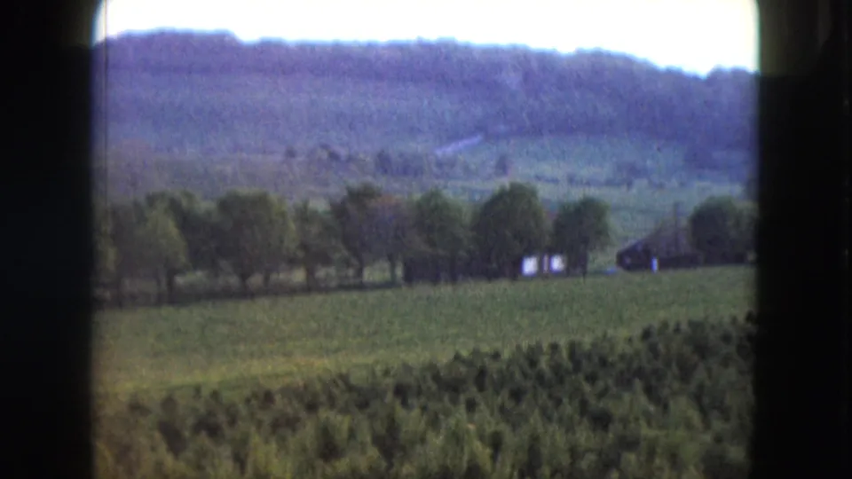 1961 Nevada rural landscape showing a green field, tree row, wooded hills, a small white building, and a darker structure.