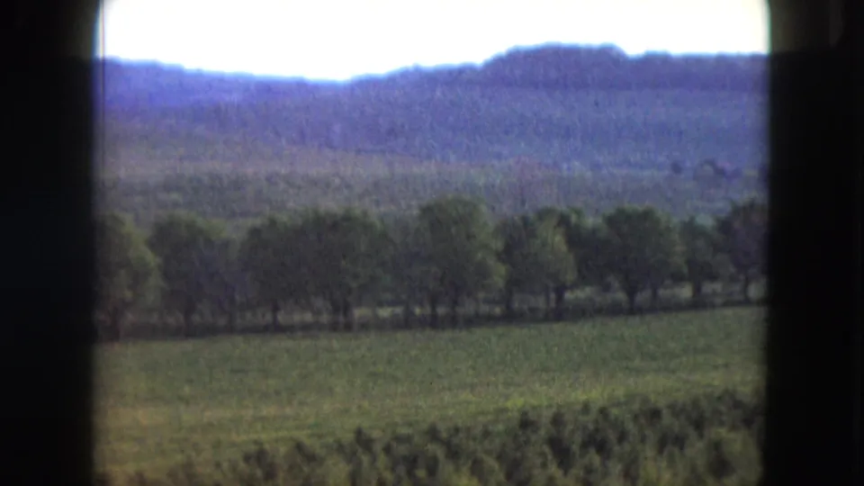 1961 Nevada rural landscape showing green foreground, trees, hazy mountains, bright sky, and 8mm scan borders.