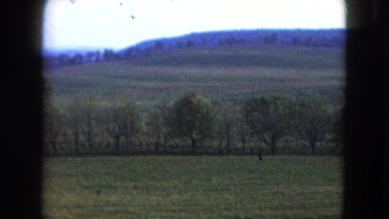1961 Nevada 8mm frame showing a green field, tree line, low distant hills, and pale sky through soft home-movie framing.