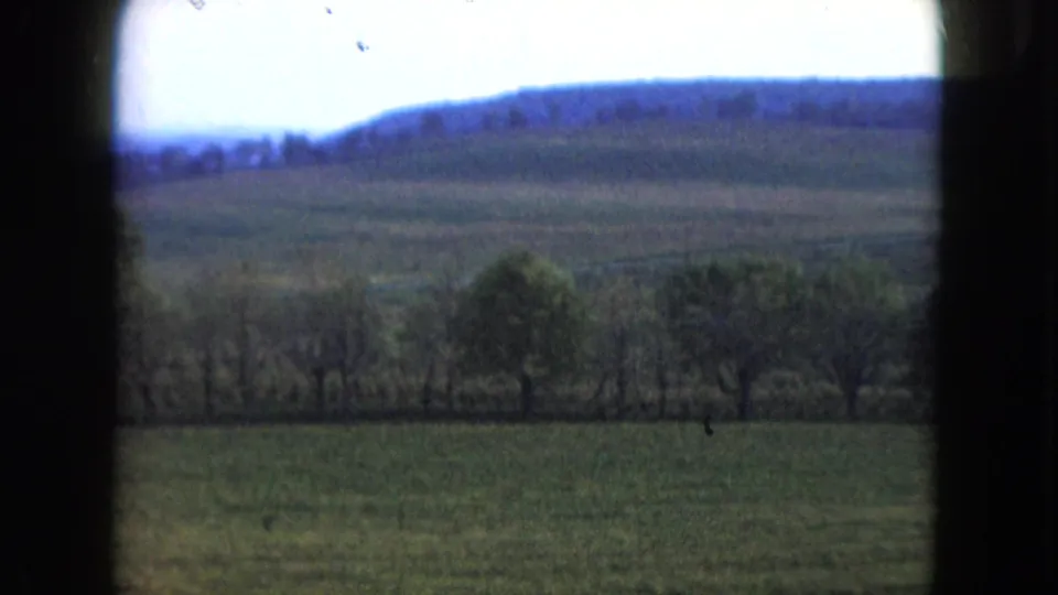 1961 Nevada 8mm frame showing a green field, tree line, low distant hills, and pale sky through soft home-movie framing.