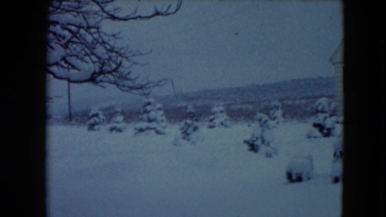 Snowy open yard with small evergreens, bare branches, and distant hills.