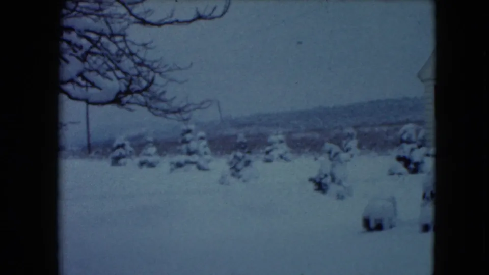 1961 Jamestown, Wisconsin winter frame showing a quiet snow-covered yard with evergreens, bare tree limbs, and a distant ridge.