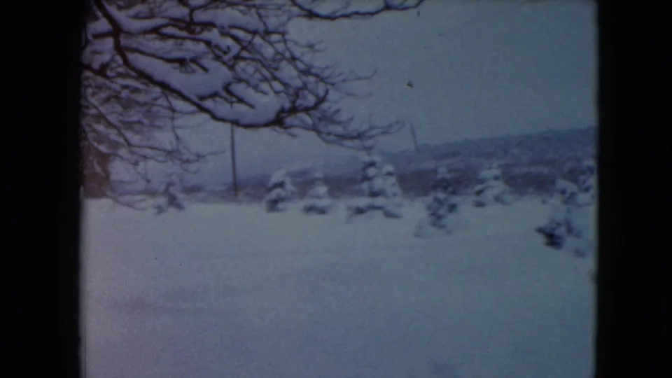 1961 8mm frame from Jamestown, Wisconsin showing a snow-covered yard framed by bare branches and scattered evergreens.