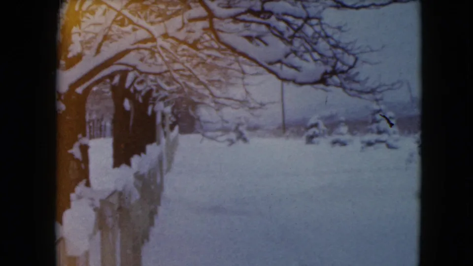 1961 Jamestown, Wisconsin winter frame showing a snow-covered fence line, bare tree canopy, small evergreens, and distant landscape.