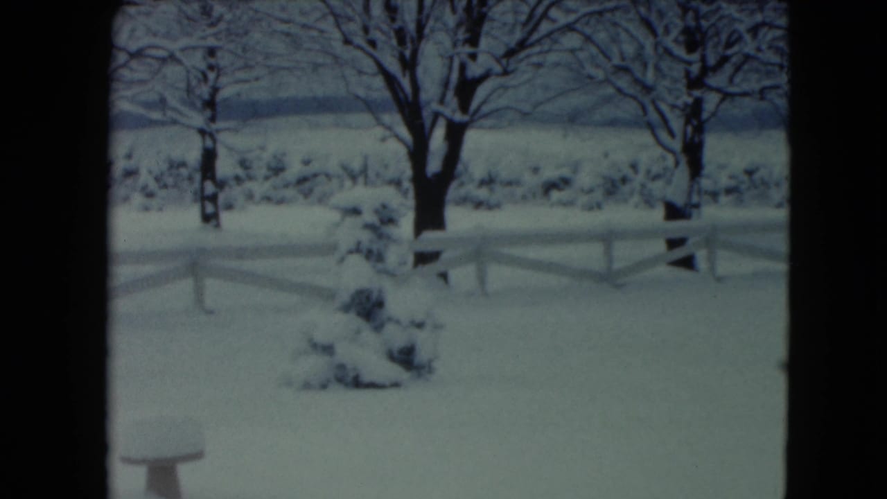 Snow-covered yard with white fence, bare trees, and evergreen shrub.
