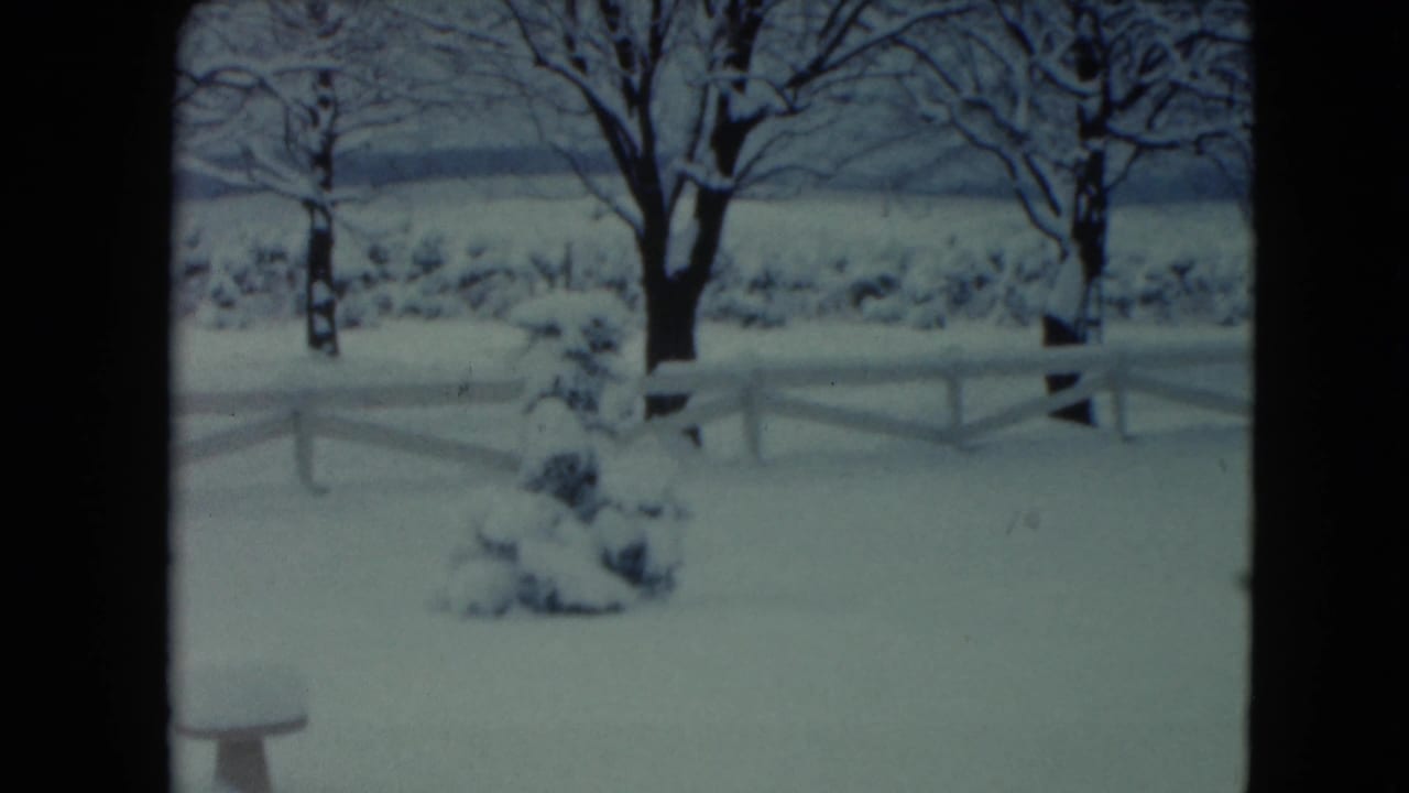 1961 Jamestown, Wisconsin frame of a snow-covered white fence, leafless trees, and a small evergreen shrub in a quiet rural yard.