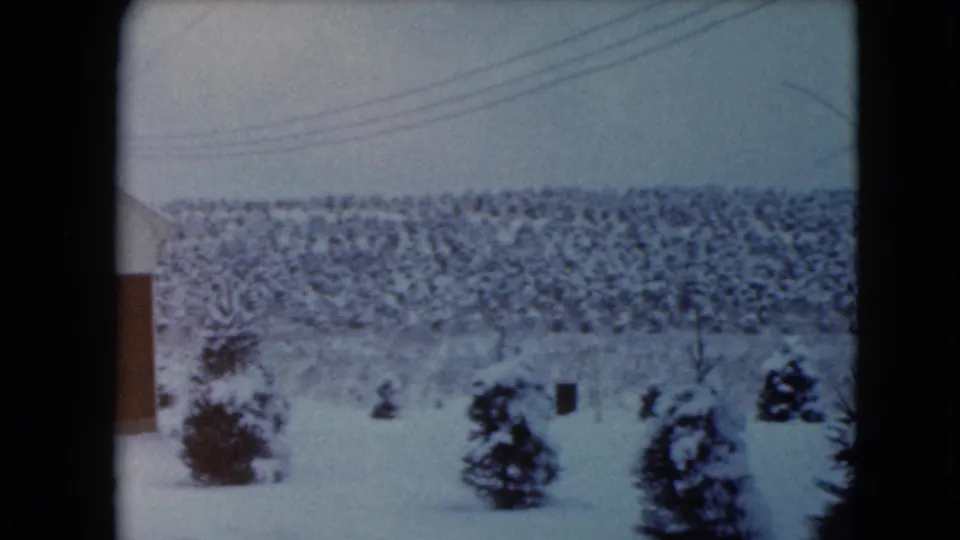1961 Jamestown, Wisconsin 8mm view across snow-covered shrubs, utility lines, open land, and a distant wooded hill.