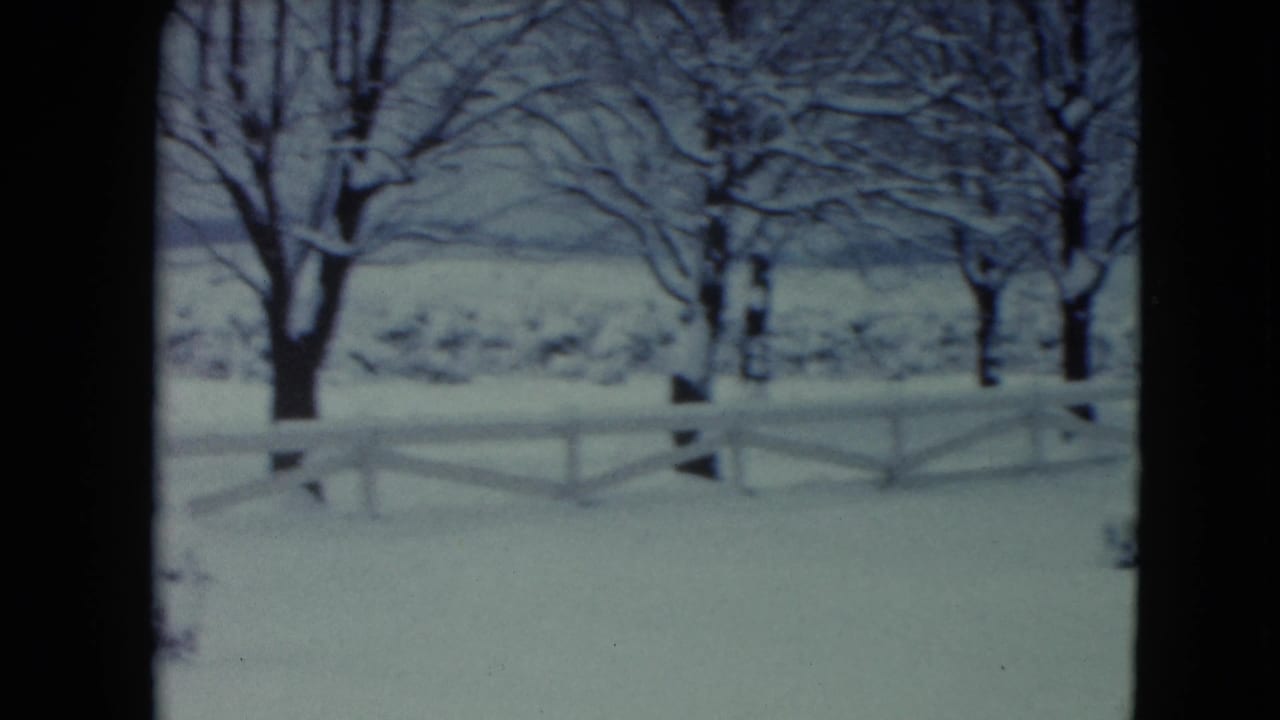 1961 Jamestown, Wisconsin winter yard seen through a window, with snow-covered trees, open ground, and a low white fence.