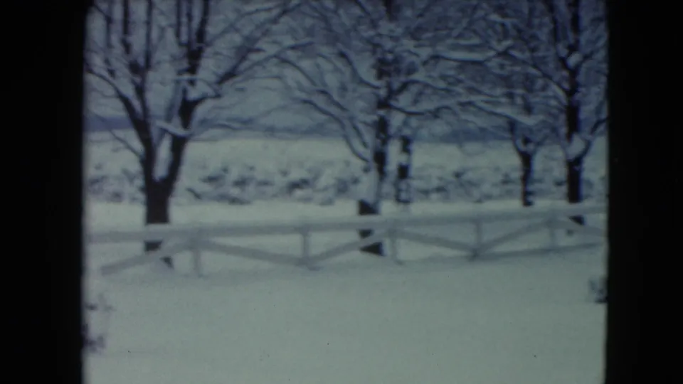 1961 Jamestown, Wisconsin winter yard seen through a window, with snow-covered trees, open ground, and a low white fence.