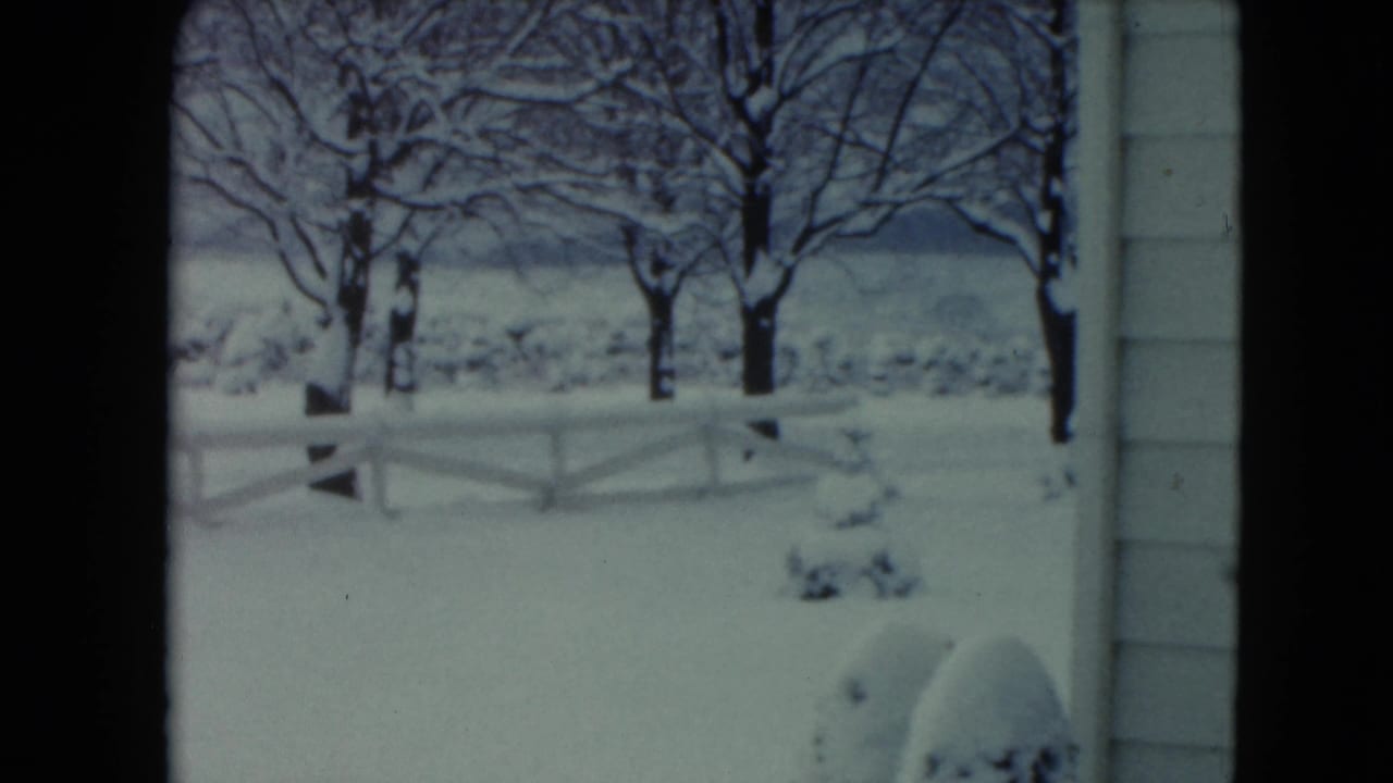 Snow-covered trees and fence outside a window, with a house edge visible at right.