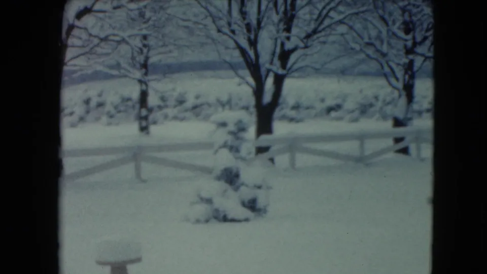 1961 Jamestown, Wisconsin yard scene with snow-laden trees, a low fence, and a small bench-like object near the lower edge.