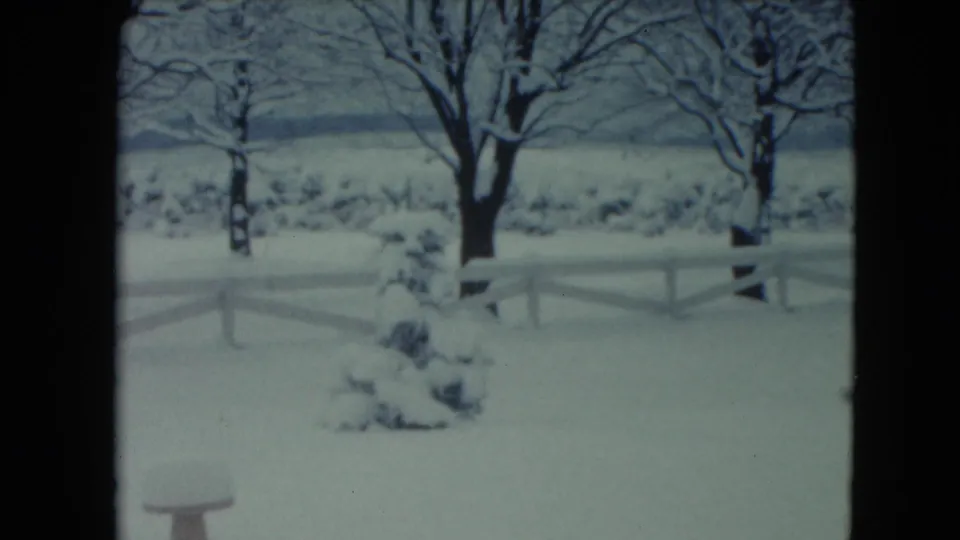 1961 Jamestown, Wisconsin winter landscape with bare trees, a low fence, snowy ground, and distant shrubs or a low wall.