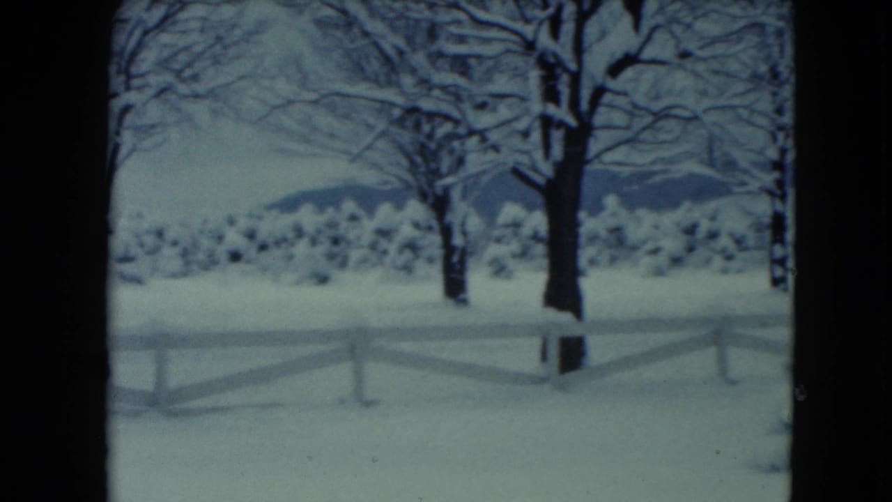 Snowy fence line and bare trees seen across a rural yard.