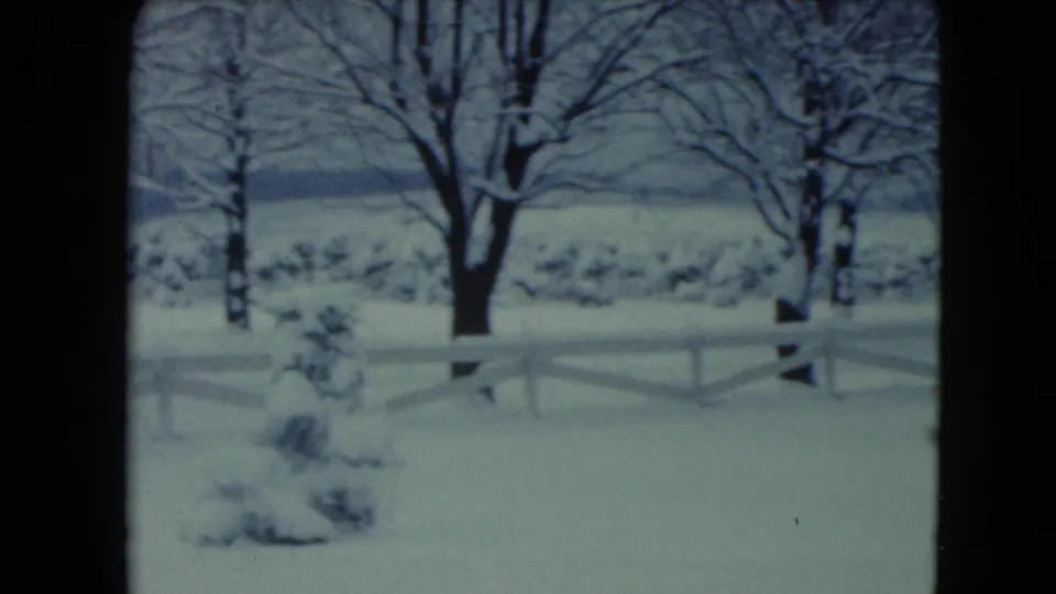 1961 Jamestown, Wisconsin winter frame with a snowy foreground shrub, white fence, bare trees, and distant low hills.