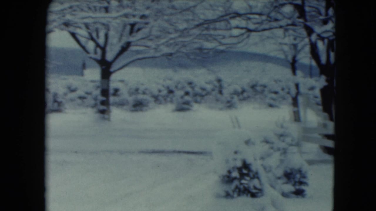 Snow-covered yard with bare trees, shrubs, a white fence, and distant low hills.