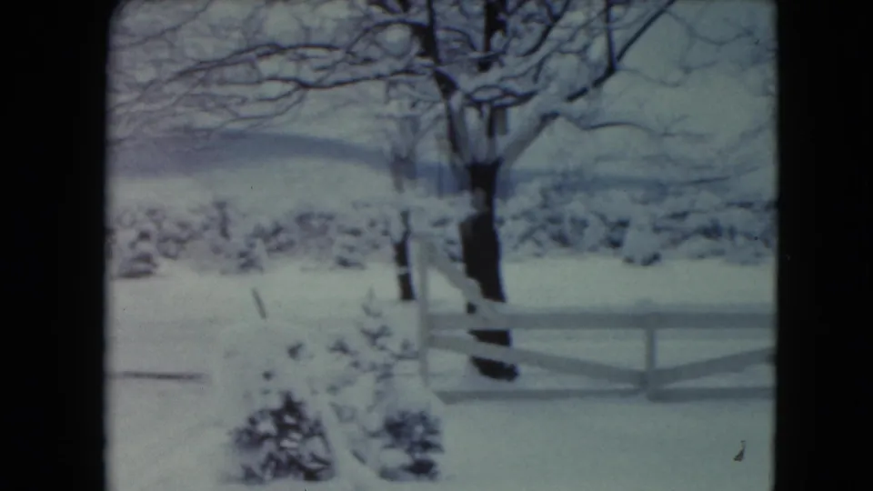 1961 Jamestown, Wisconsin 8mm frame with a snow-covered fence line, bare tree branches, shrubs, and muted hills in the distance.