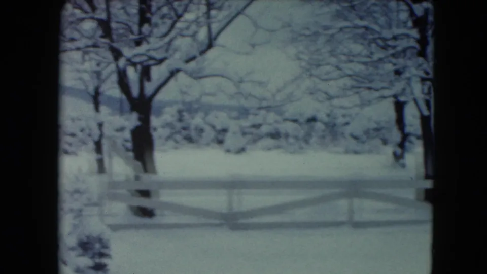 1961 Jamestown, Wisconsin 8mm frame showing a large bare tree beside a white fence, with snow-covered shrubs and low hills behind.