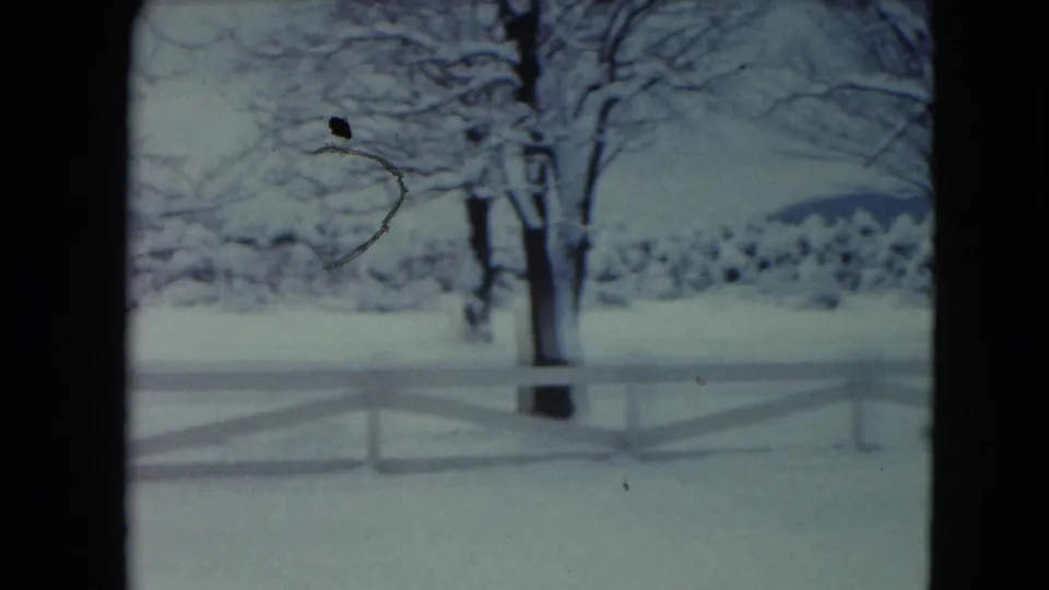 1961 Jamestown, Wisconsin 8mm frame of a white fence, bare trees, snow-covered ground, distant hills, and visible film dust marks.