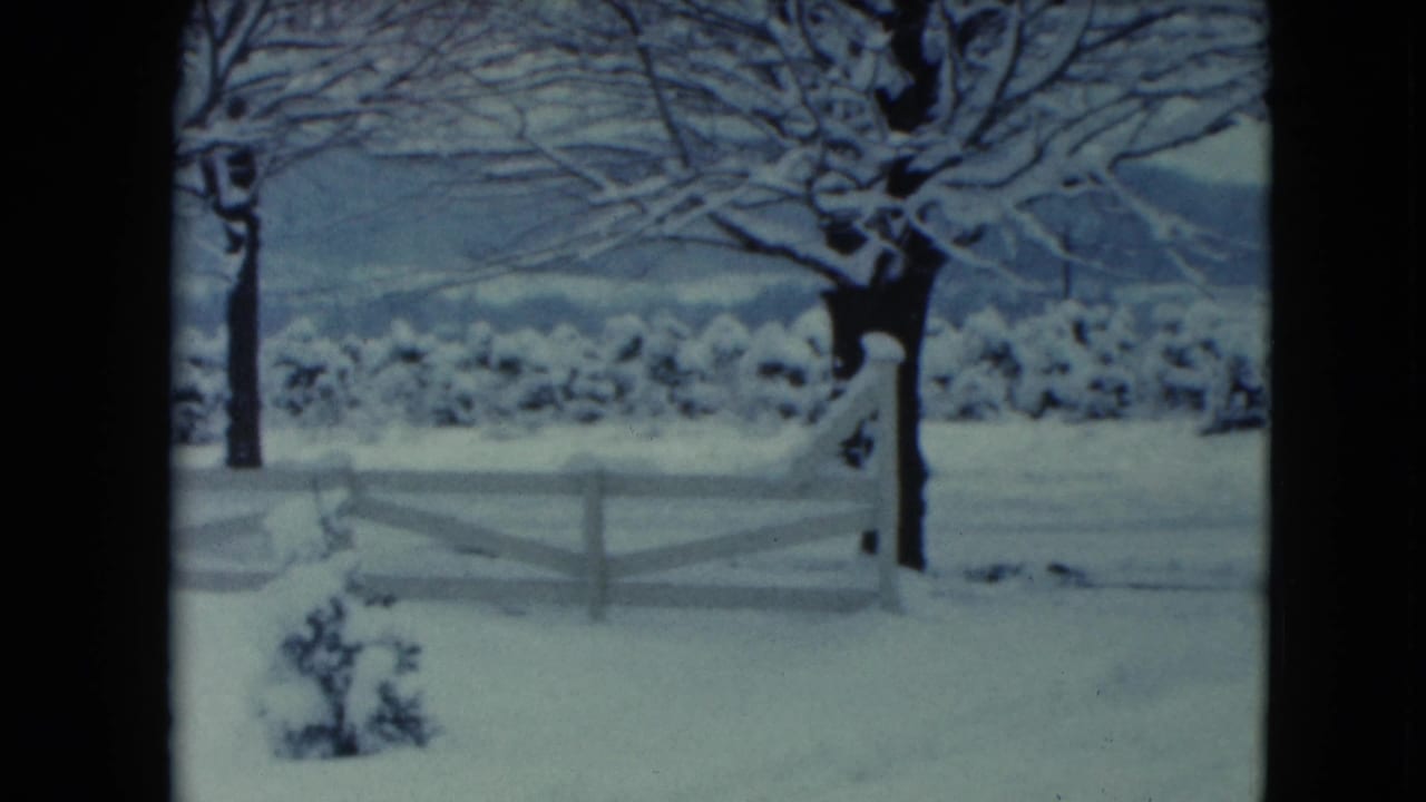 Snowy fence line and trees with shrubs and distant hills beyond the yard.