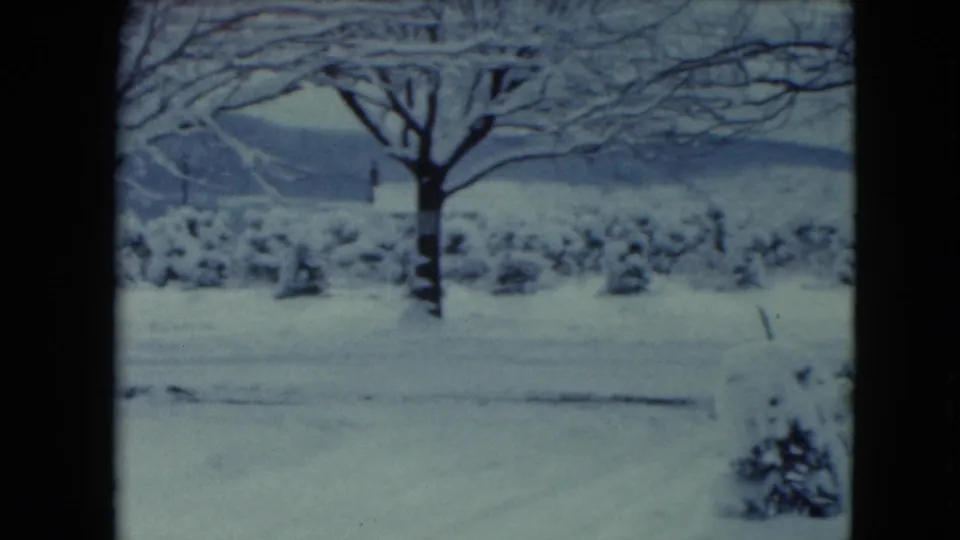 1961 Jamestown, Wisconsin 8mm frame showing an open snow-covered yard, bare trees, distant hills, and a small shrub near the lower right.
