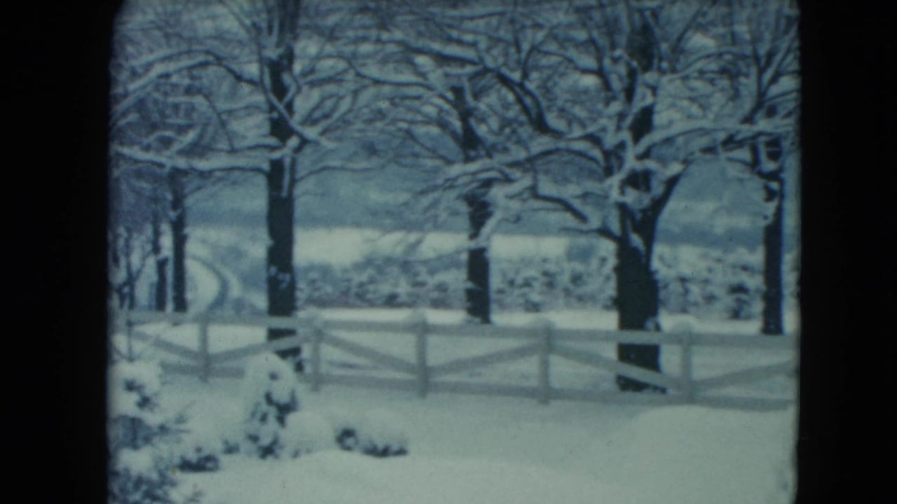 A snowy rural scene in Jamestown, Wisconsin, with bare trees, a white fence, shrubs, and open land beyond.