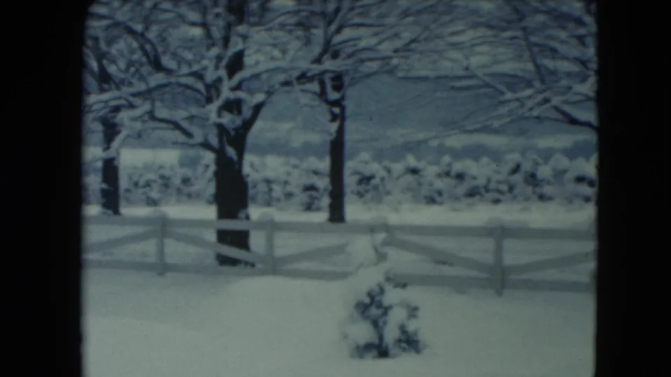 A quiet Jamestown, Wisconsin winter landscape shows a white fence, bare snow-covered trees, shrubs, and open rural land.