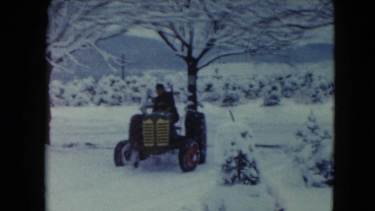 Tractor approaches through snow with a seated driver under bare winter trees.