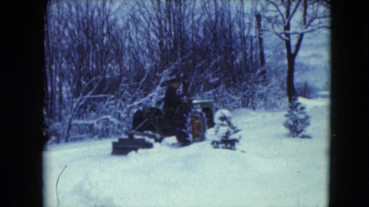 Tractor and man clearing snow near small evergreens.