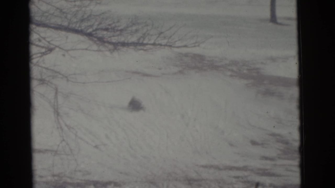 Snowy slope with bare branches and a small dark shape near the center.
