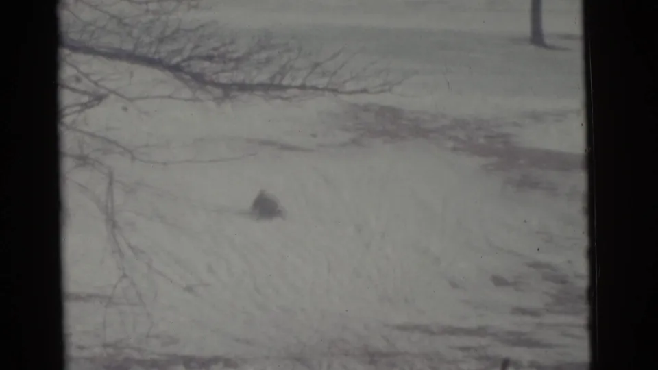 1961 Camden, New Jersey 8mm frame showing a snowy hill, bare tree branches, and a distant dark sliding shape.
