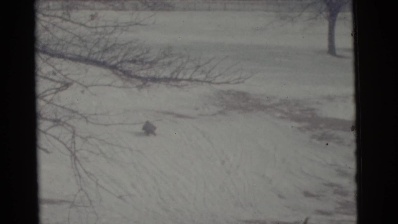 Early 1960s Camden winter footage with a distant dark shape on a snow-covered slope under bare branches.