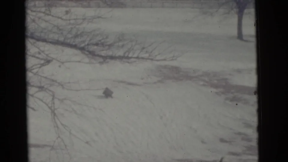 Early 1960s Camden winter footage with a distant dark shape on a snow-covered slope under bare branches.