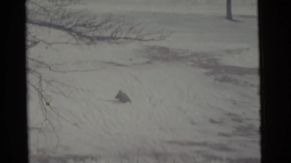 At the end of the clip, the bundled sledder is very small on the snowy Camden hill, with branches and a distant tree visible.