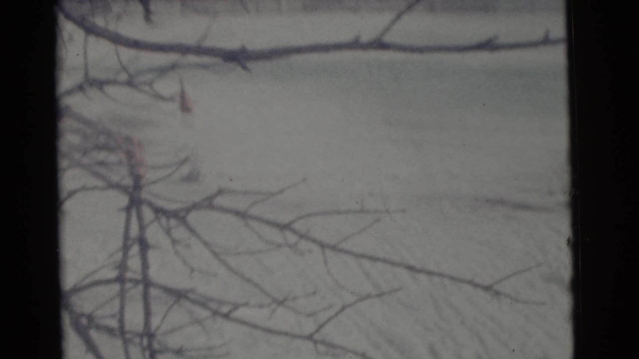 Snowy field seen through bare branches with dark film borders.