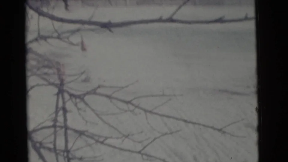 1961 Camden, New Jersey 8mm frame showing a snowy open field partly obscured by bare tree branches.