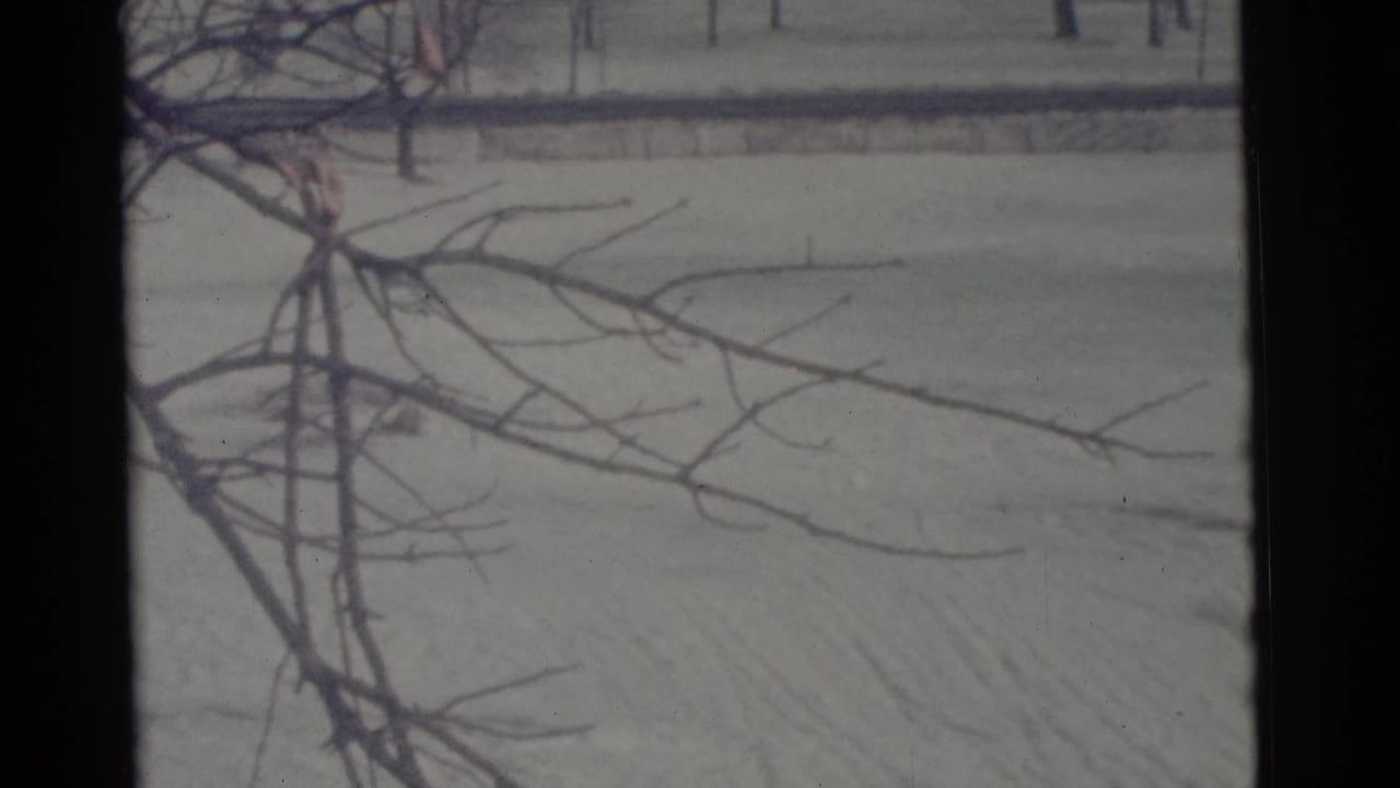 Camden winter home-movie frame with leafless branches over a snow-covered field and no close human detail.