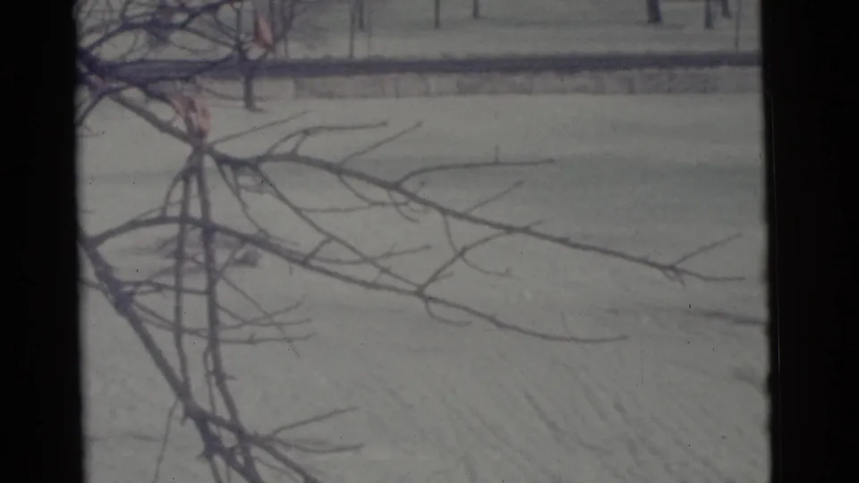 Camden winter home-movie frame with leafless branches over a snow-covered field and no close human detail.