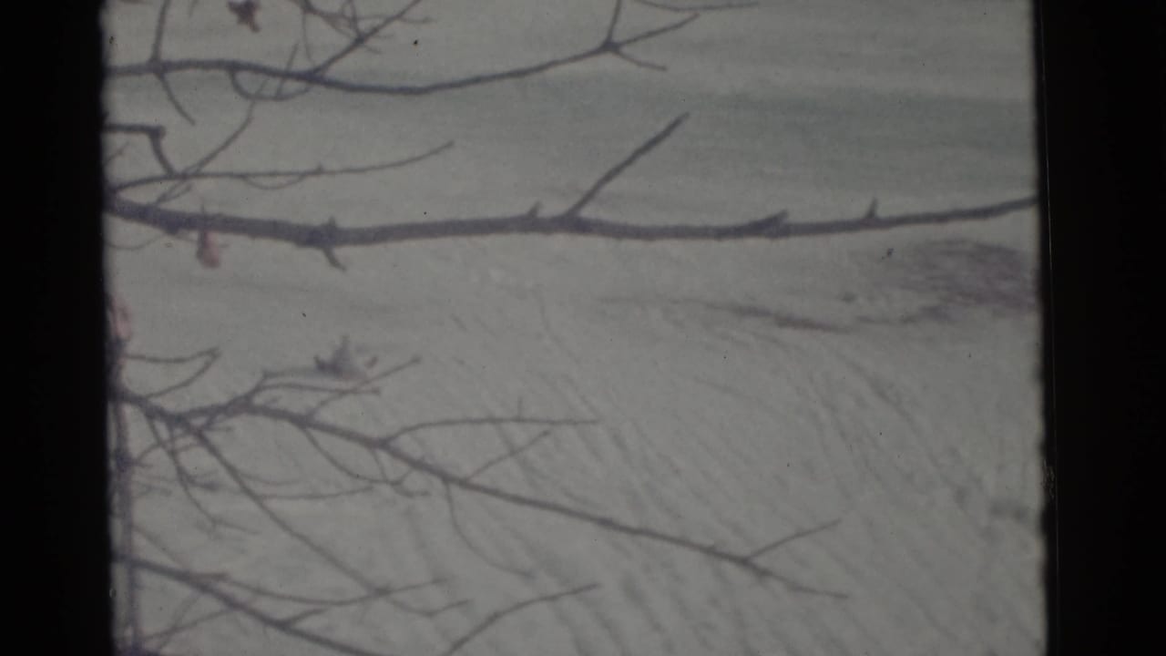 Bare branches frame a snowy hillside with faint tracks and distant dark specks.