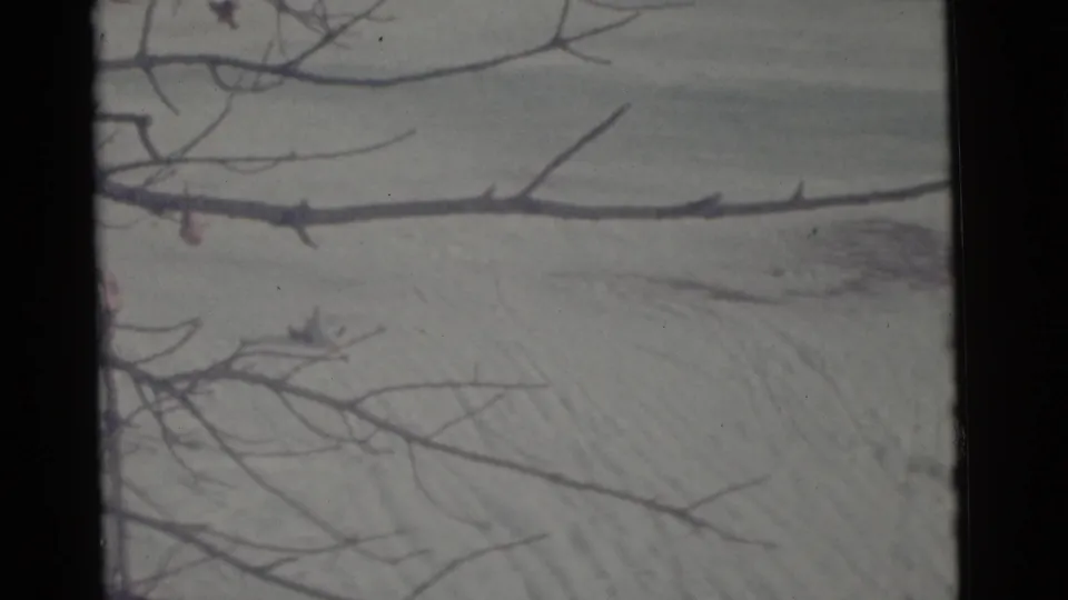 1961 Camden, New Jersey 8mm frame of bare branches crossing a snow-covered hill with faint tracks in the distance.
