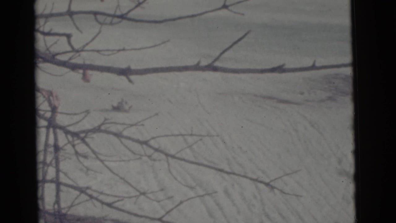 Distant 8mm view of a Camden winter hillside in 1961, partly obscured by leafless foreground branches.