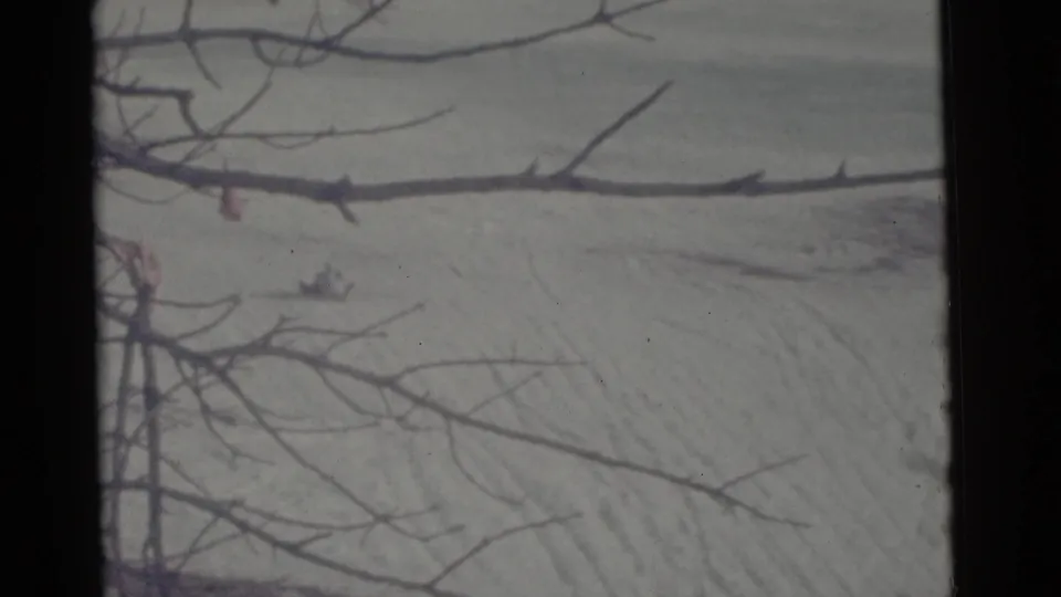 Distant 8mm view of a Camden winter hillside in 1961, partly obscured by leafless foreground branches.