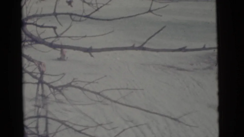 Muted 8mm frame from Camden, New Jersey in 1961, showing a snow-covered hill viewed through bare branches.