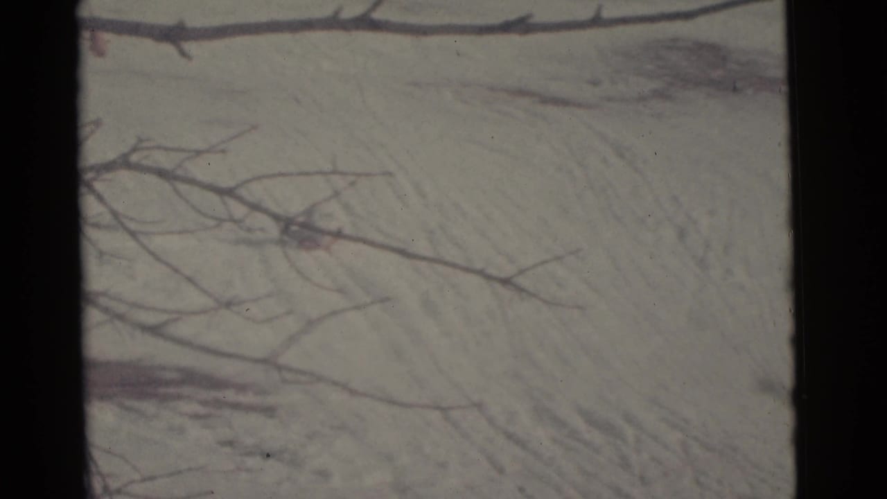 1961 Camden 8mm frame with leafless branches over a snowy hill, visible track lines, grain, and soft handheld framing.