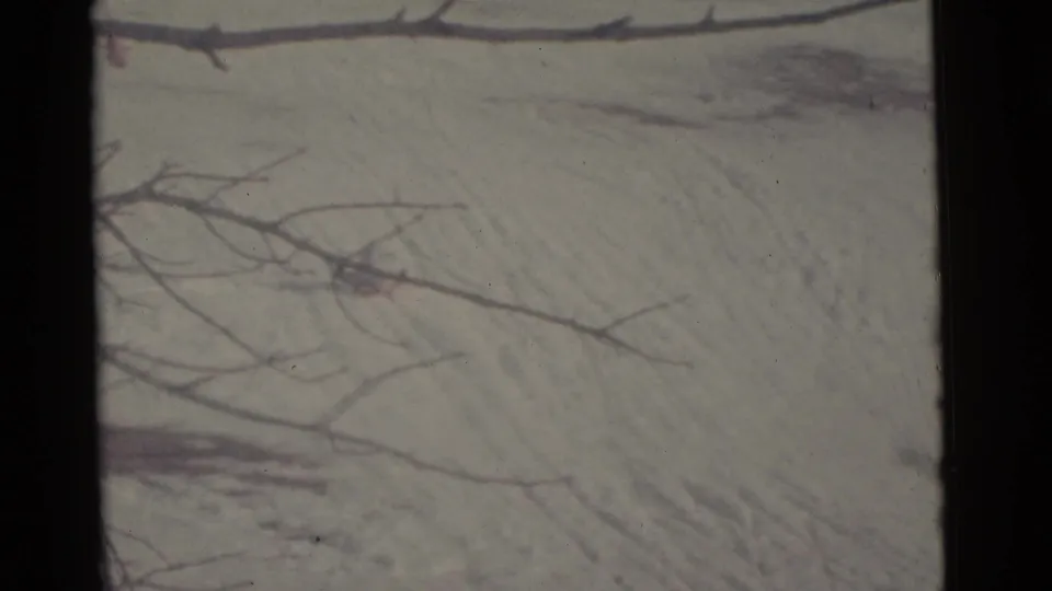 1961 Camden 8mm frame with leafless branches over a snowy hill, visible track lines, grain, and soft handheld framing.