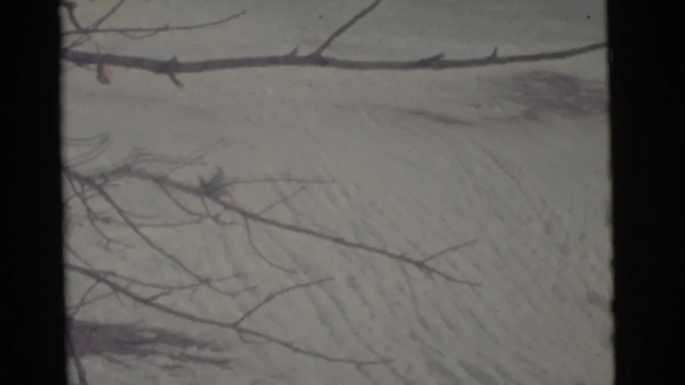 1961 Camden 8mm frame showing foreground bare branches over a snow-covered hill, with soft focus and faint sled or foot tracks.