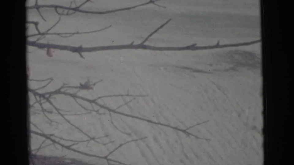 1961 Camden 8mm frame of a snowy hillside crossed by bare branches, with pale winter light and no clear identifiable figure visible.
