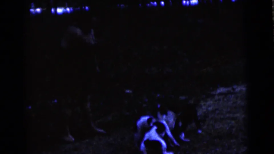 Nighttime 8mm home-movie frame showing a dog near the foreground in a blue-tinted Camden yard, with possible people or objects obscured by darkness.